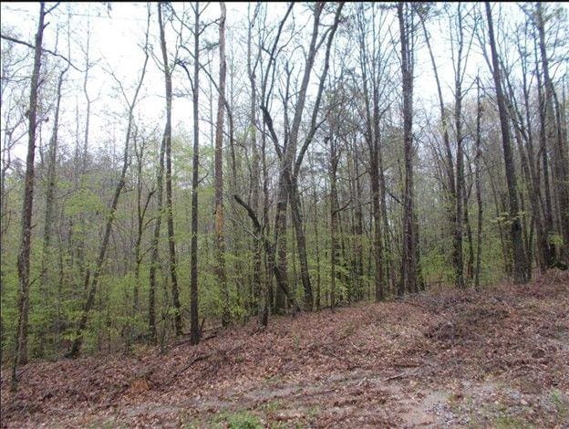 0 Woodruff Rd, Carrollton GA, 30116 land for sale