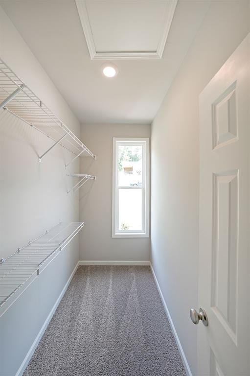 175 W Woods Dr, Dahlonega, GA 30533 - spacious closet featuring carpet floors