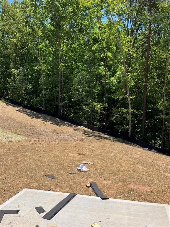 175 W Woods Dr, Dahlonega, GA 30533 - view of yard featuring a patio