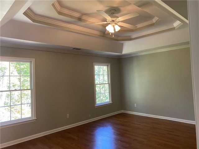 unfurnished room with dark wood-type flooring, a raised ceiling, and a wealth of natural light