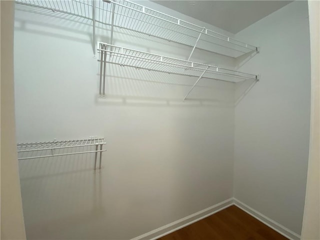 spacious closet with dark wood-type flooring