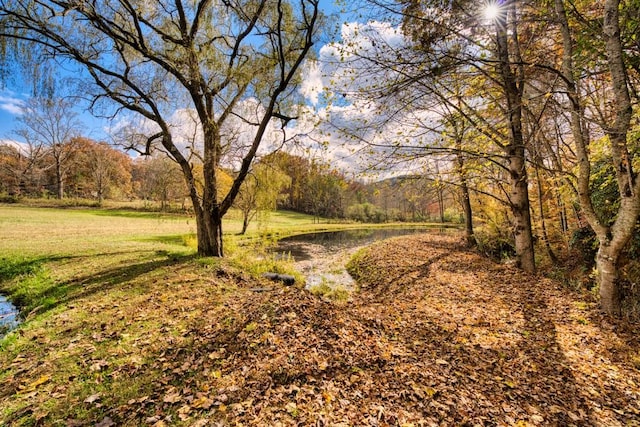 16810 Morganton Hwy, Morganton, GA 30560 - view of yard with a wooded view and a water view