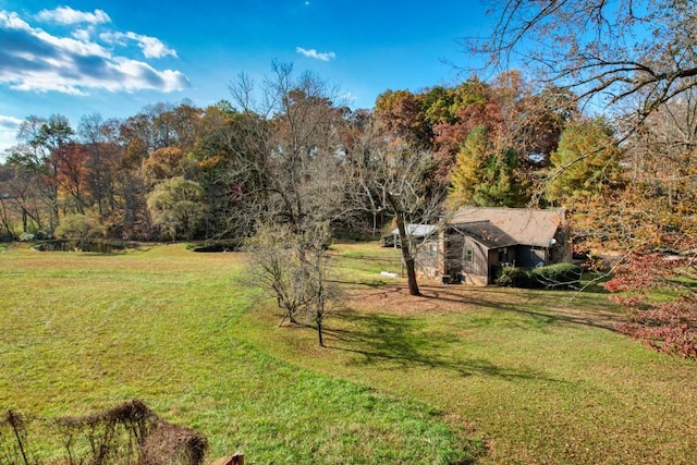 16810 Morganton Hwy, Morganton, GA 30560 - view of yard