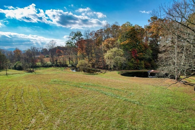 16810 Morganton Hwy, Morganton, GA 30560 - view of yard with a wooded view