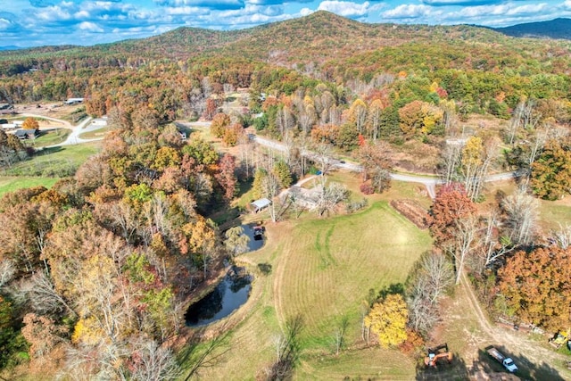 16810 Morganton Hwy, Morganton, GA 30560 - birds eye view of property featuring a mountain view and a view of trees