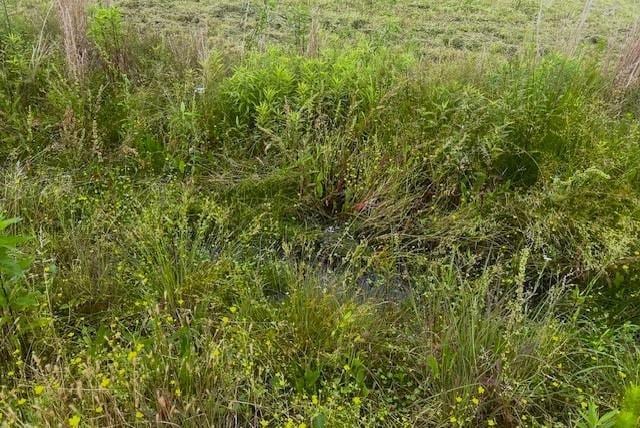 LOT3 Lovebridge Rd, Calhoun, GA 30701