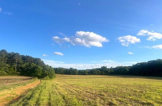 LOT3 Lovebridge Rd, Calhoun, GA 30701