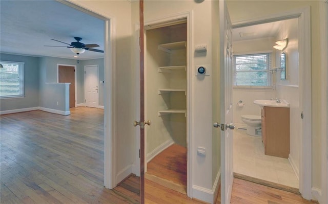 view of closet