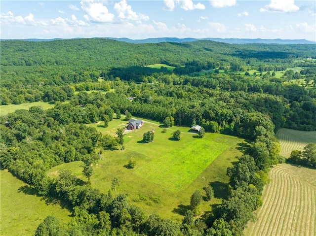 drone / aerial view featuring a rural view