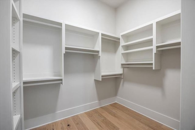 spacious closet featuring wood finished floors