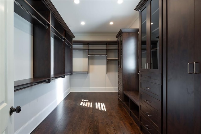 spacious closet featuring dark wood finished floors