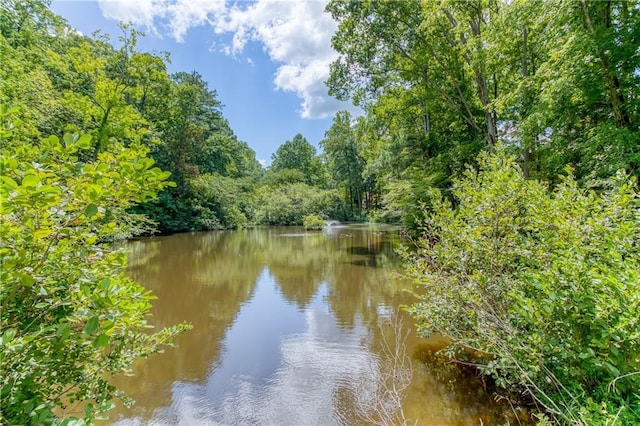 water view with a wooded view