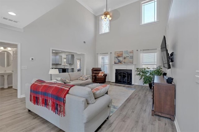 living room with ornamental molding, light hardwood / wood-style floors, and a healthy amount of sunlight