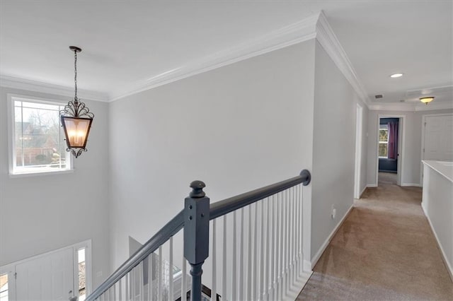 hallway with crown molding and light carpet