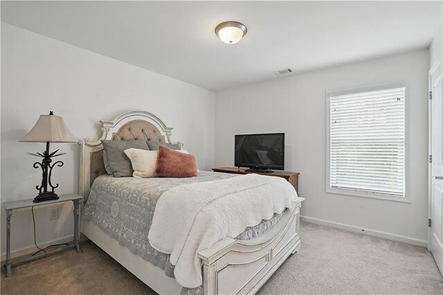 1255 Double Branches Ln, Dallas, GA 30132 - bedroom with multiple windows, light colored carpet, and baseboards