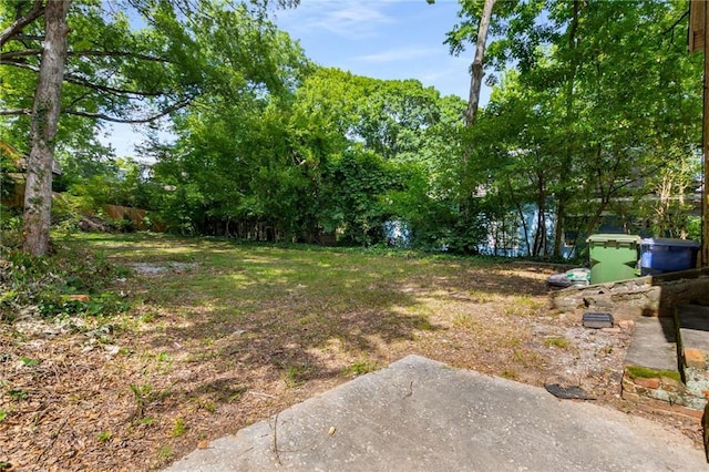 1200 Mansfield Ave NE, Atlanta, GA 30307 - view of yard