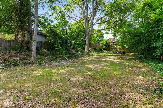 1200 Mansfield Ave NE, Atlanta, GA 30307 - view of yard