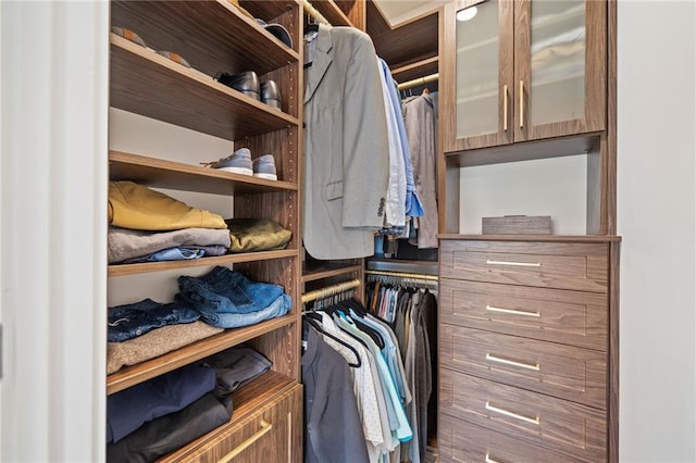 1010 Fendley St, Woodstock, GA 30188 - view of walk in closet