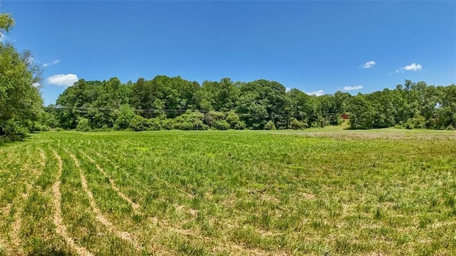 618 W Glade Creek Rd, Clarkesville, GA 30523 - view of yard featuring a view of rural / pastoral area