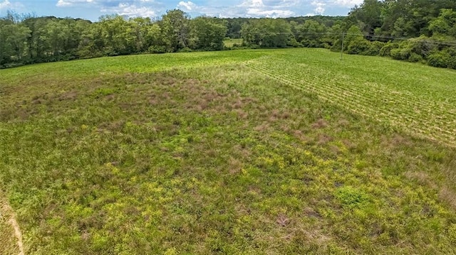 618 W Glade Creek Rd, Clarkesville, GA 30523 - view of yard with a view of rural / pastoral area and a wooded view