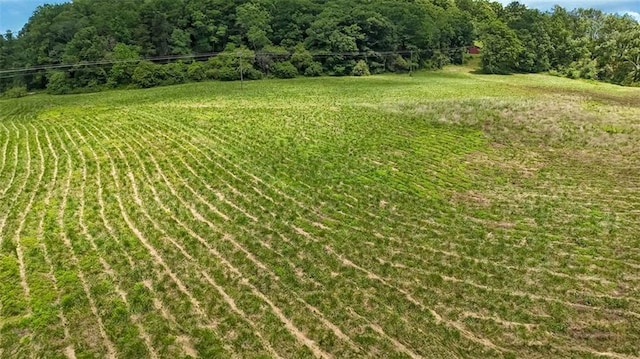 618 W Glade Creek Rd, Clarkesville, GA 30523 - view of yard with a view of rural / pastoral area