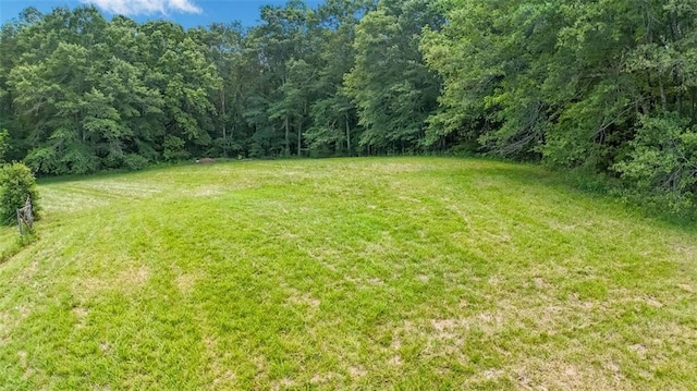618 W Glade Creek Rd, Clarkesville, GA 30523 - view of green lawn featuring a forest view