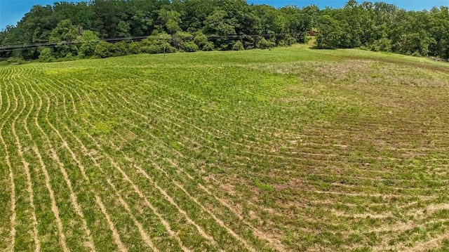 618 W Glade Creek Rd, Clarkesville, GA 30523 - view of yard with a rural view