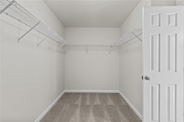 spacious closet with carpet