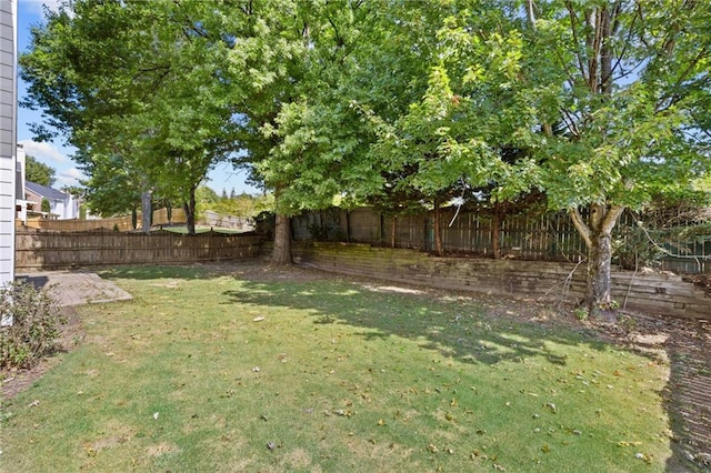 view of yard featuring a fenced backyard