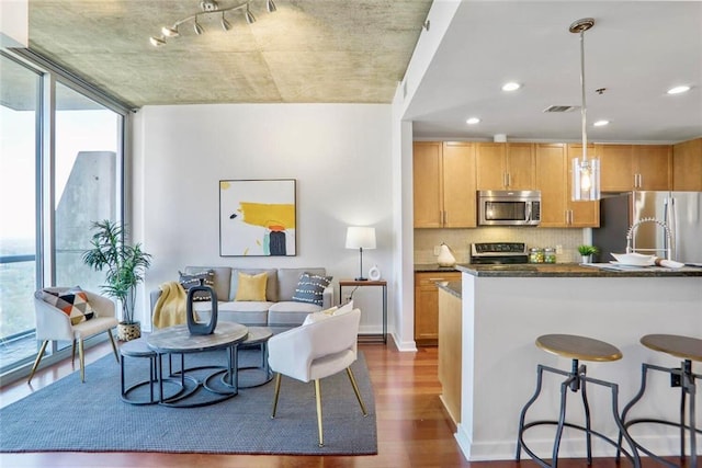 kitchen with a wealth of natural light, dark wood-type flooring, appliances with stainless steel finishes, and a wall of windows