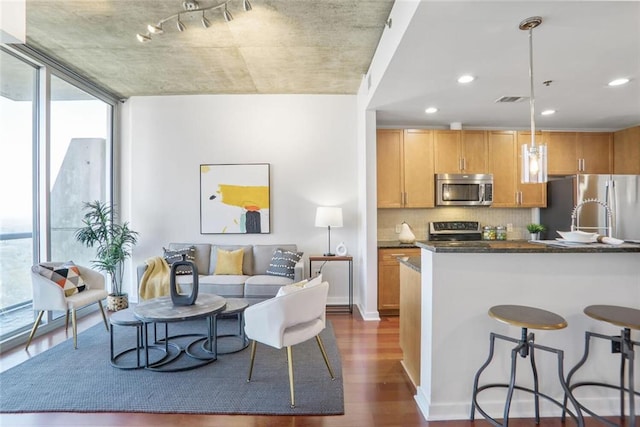 kitchen featuring floor to ceiling windows, a breakfast bar, decorative backsplash, dark wood-style floors, and stainless steel appliances