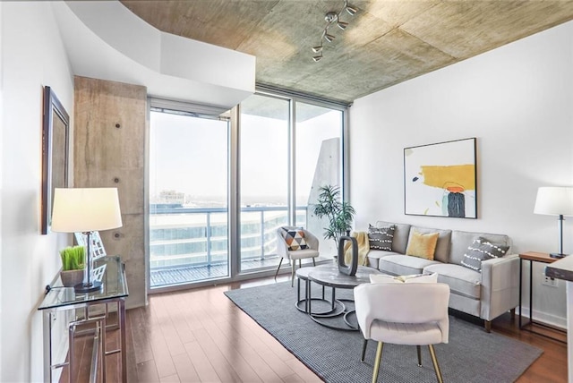 living room featuring expansive windows and wood finished floors