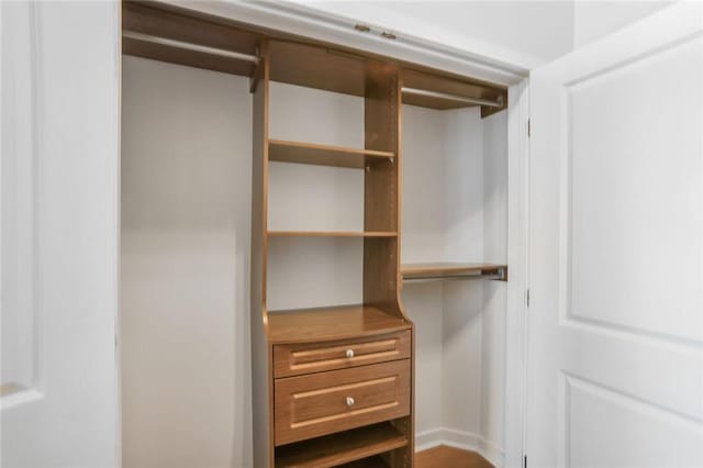 view of closet