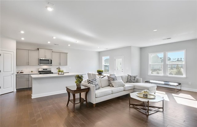 living room with dark hardwood / wood-style flooring