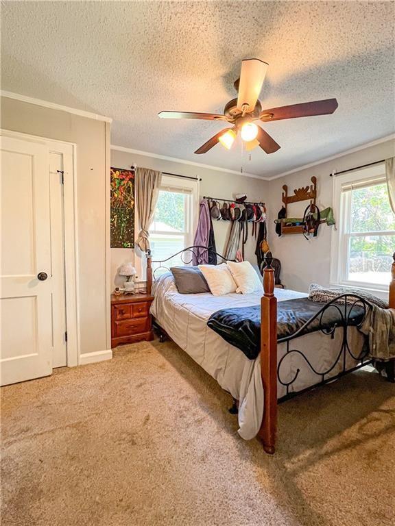 bedroom featuring multiple windows, crown molding, and carpet