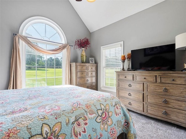 carpeted bedroom featuring lofted ceiling