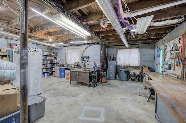 basement featuring a workshop area