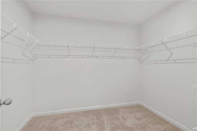 714 Smokey Quartz Way, Kennesaw, GA 30144 - walk in closet with carpet floors