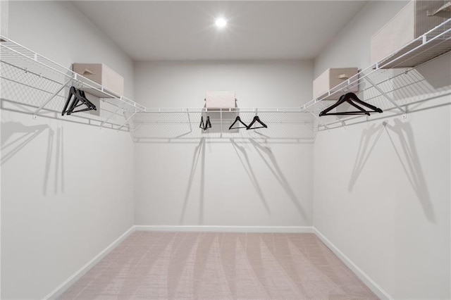 714 Smokey Quartz Way, Kennesaw, GA 30144 - walk in closet featuring carpet flooring