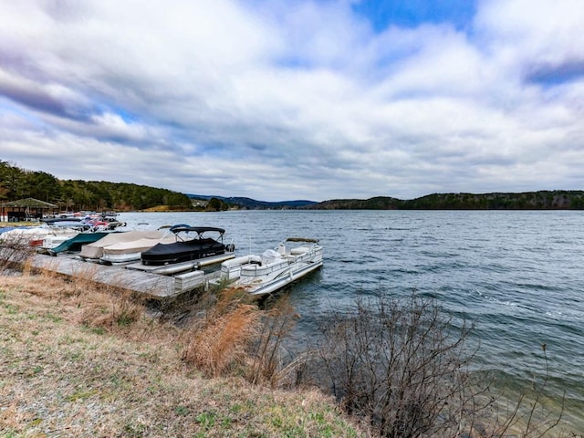 dock area with a water view