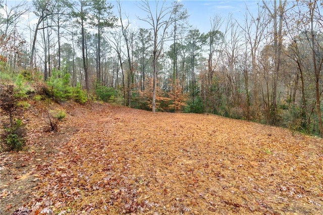 view of landscape with a wooded view