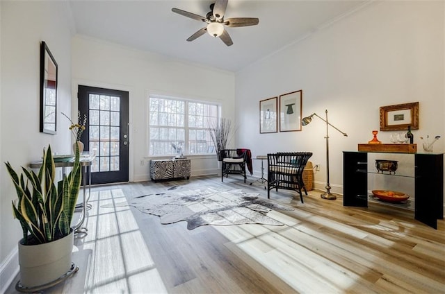 living area featuring crown molding, ceiling fan, and light hardwood / wood-style flooring