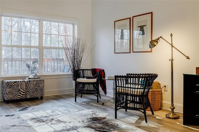 sitting room with hardwood / wood-style floors