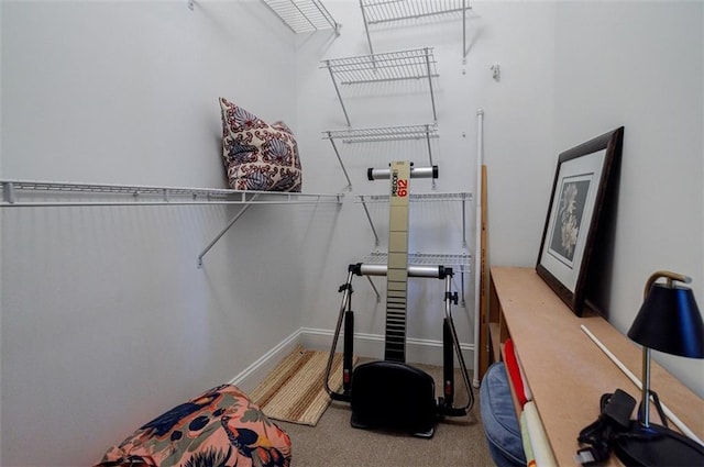 walk in closet with carpet floors