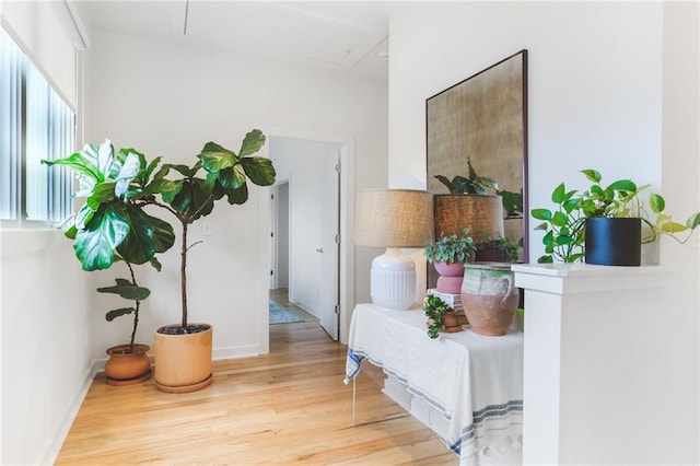 interior space with wood finished floors