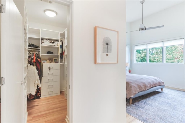 bedroom with a closet, light wood-style flooring, and a spacious closet