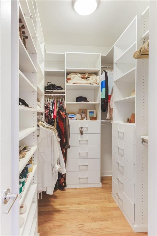 walk in closet featuring wood finished floors