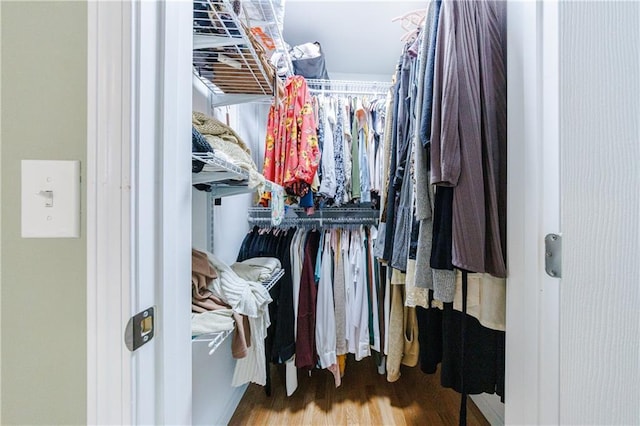 spacious closet featuring hardwood / wood-style flooring