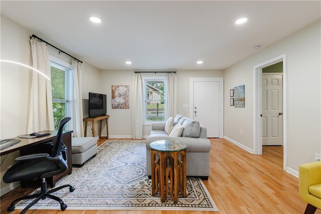 living room featuring light hardwood / wood-style flooring