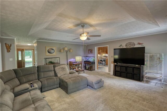 78 N Pomona Rd, Hampton, GA 30228 - living area featuring a raised ceiling, ornamental molding, carpet floors, a ceiling fan, and a textured ceiling